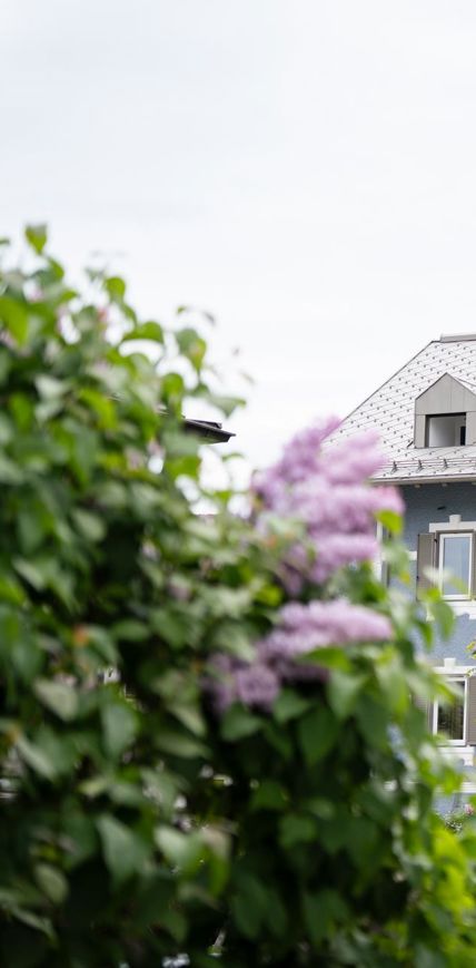 aussenaufnahme-sommer